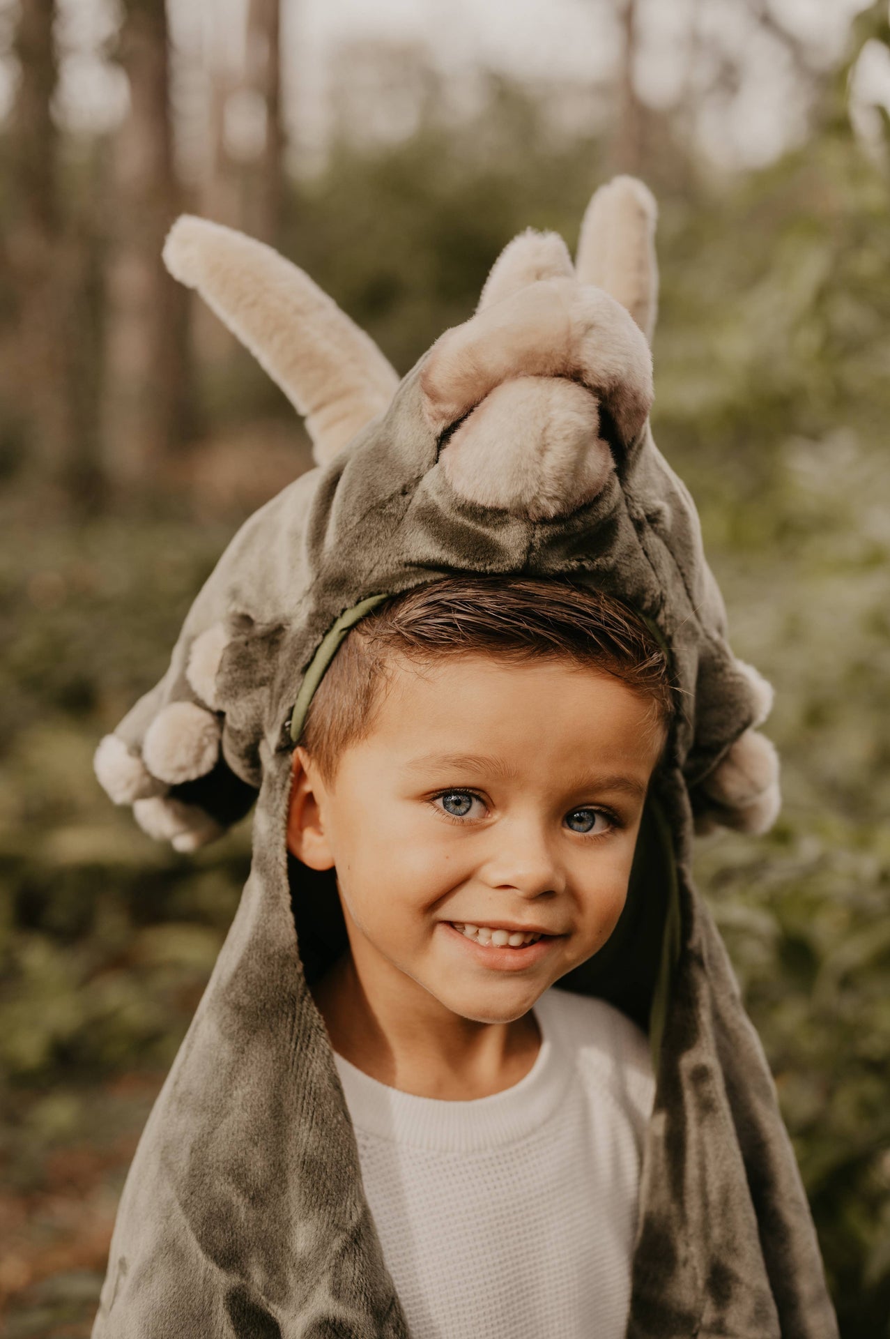 Kids Dinosaur Costume