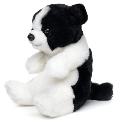 Kawaii sitting Border Collar plush toy