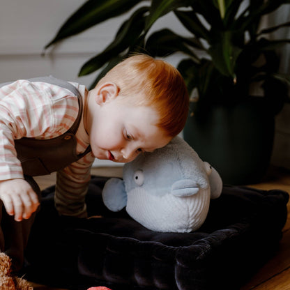 Warmies Bubble Fish Plush Hot Water Bottle