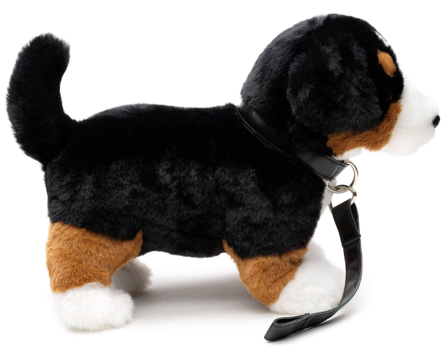 Bernese Mountain Dog plush toy, with leash
