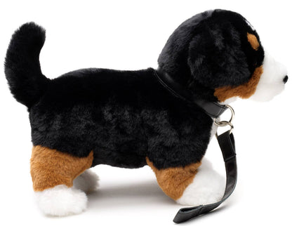 Bernese Mountain Dog plush toy, with leash