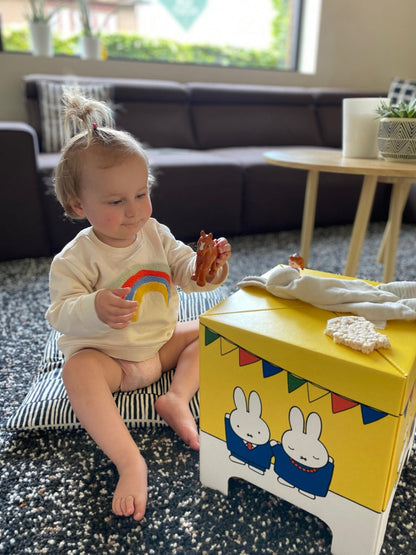 Miffy Rabbit Cardboard Stool
