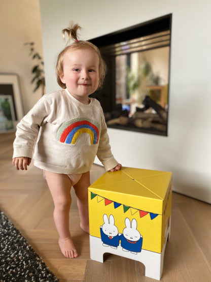 Miffy Rabbit Cardboard Stool