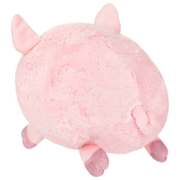 Mini Squishable Schweinchen