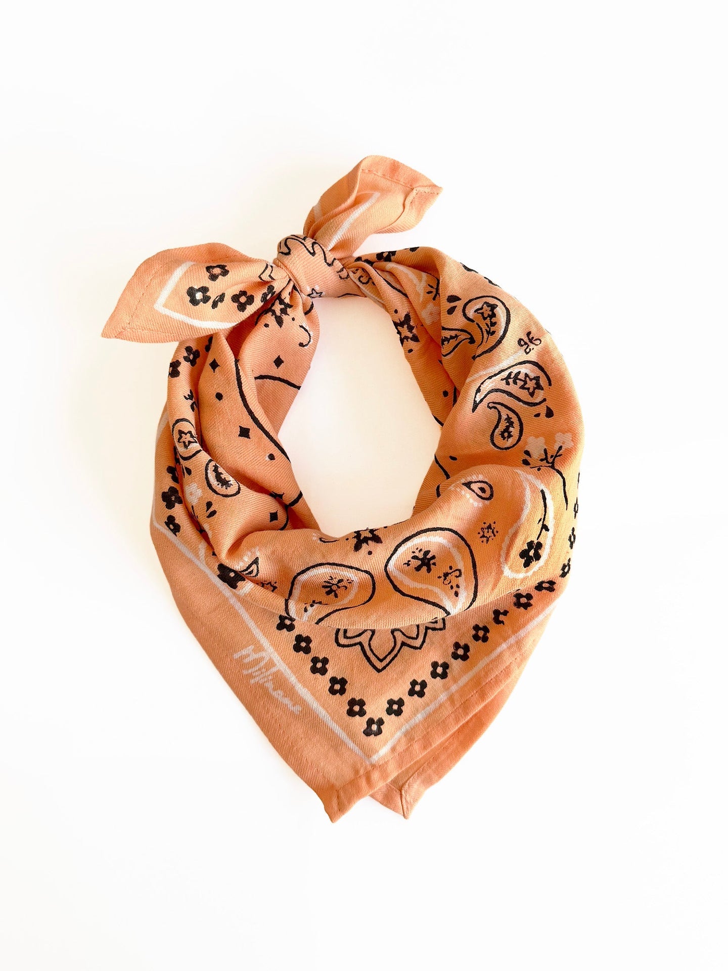 Small scarf - OSCAR