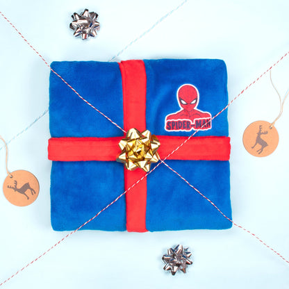 Enfant Spider-Man Robe