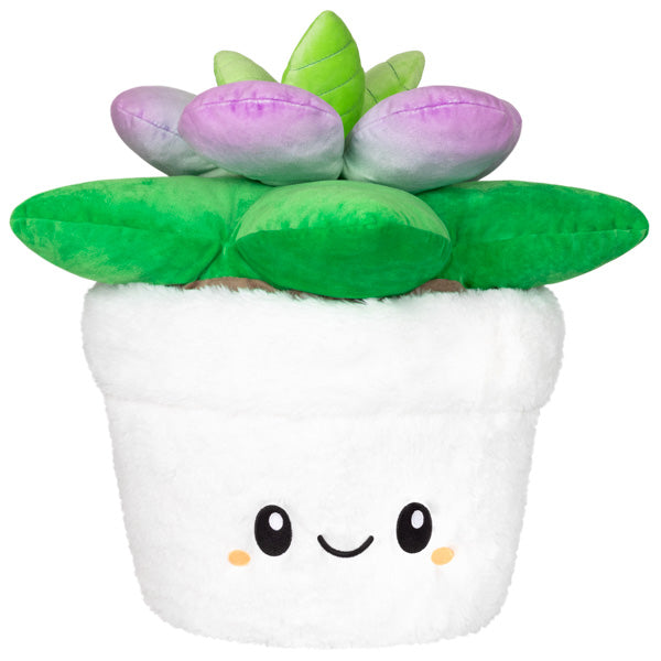 Peluche Squishable – Succulente