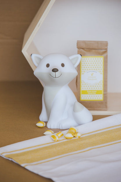 Money box Cesar L