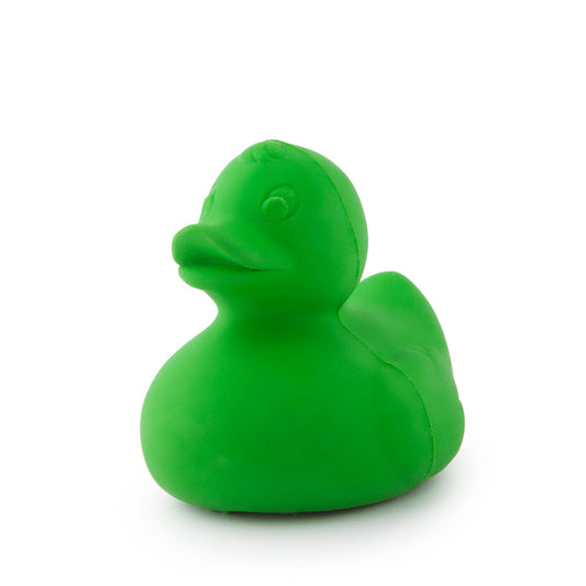 Elvis the Green Duck