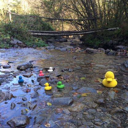 Elvis the Green Duck